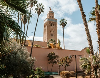 Marrakech landscape